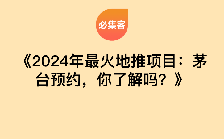 《2024年最火地推项目：茅台预约，你了解吗？》-云推网创项目库