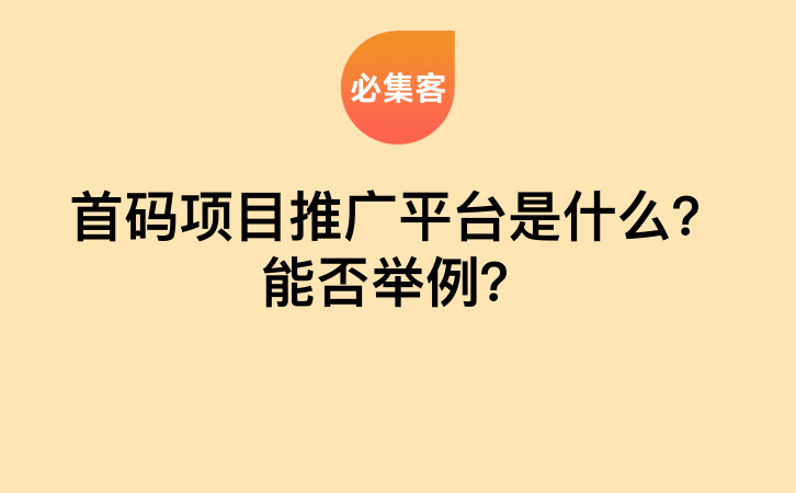 首码项目推广平台是什么？能否举例？-云推网创项目库