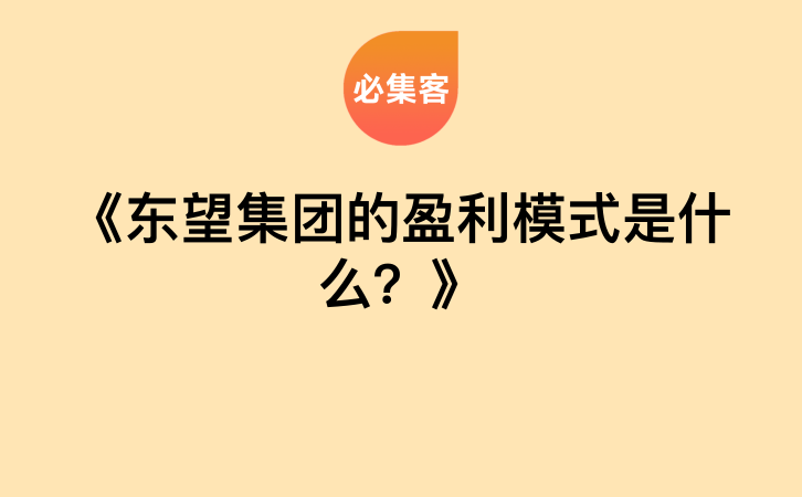 《东望集团的盈利模式是什么？》-云推网创项目库