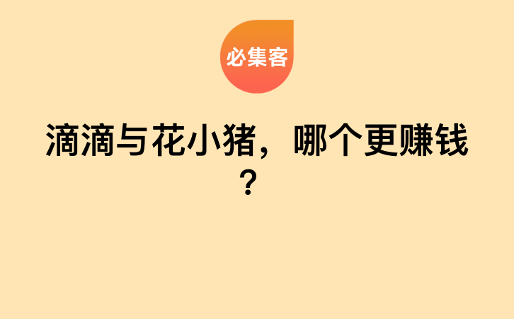 滴滴与花小猪，哪个更赚钱？-云推网创项目库