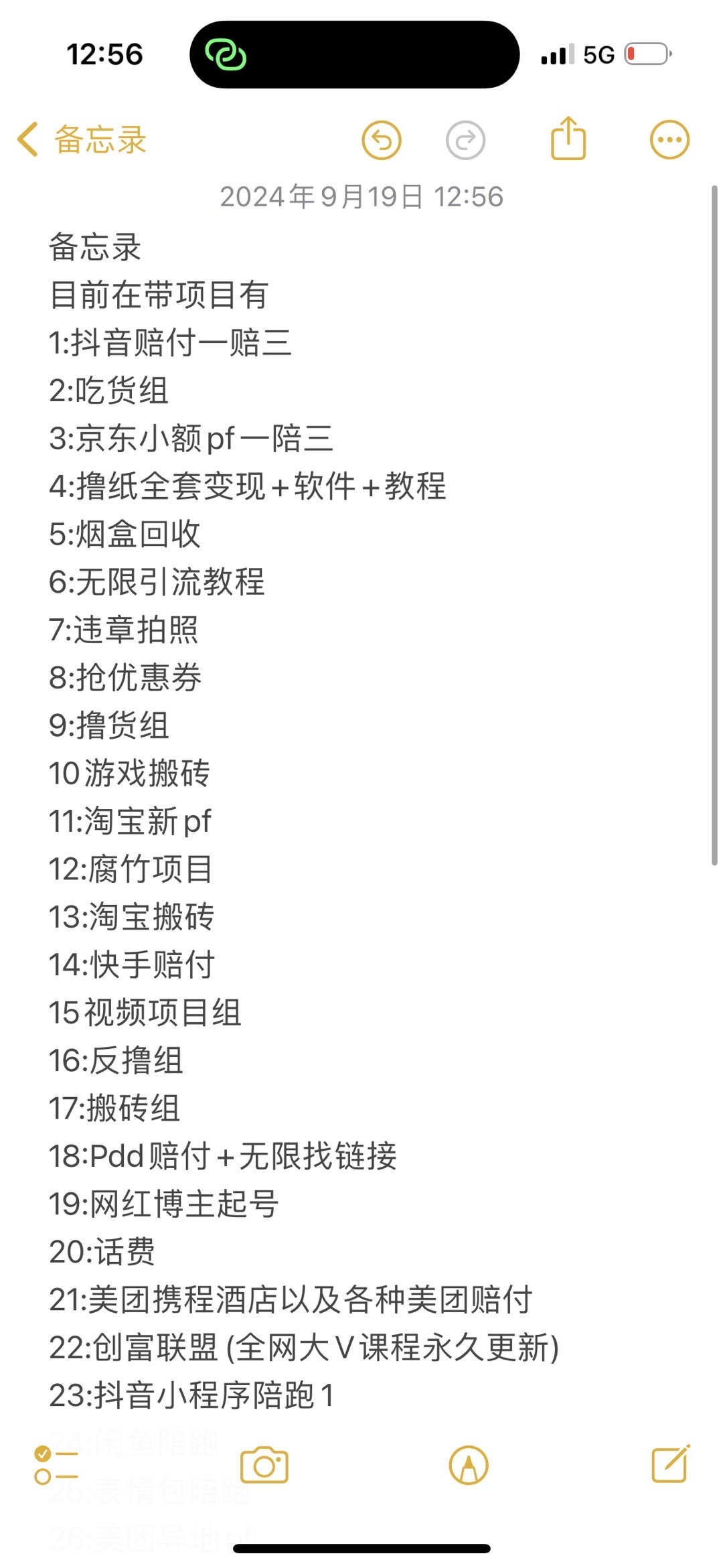 本人有几十种不错的项目 我们团队会每天各种不同的新项目  带你日赚千元 跟着我