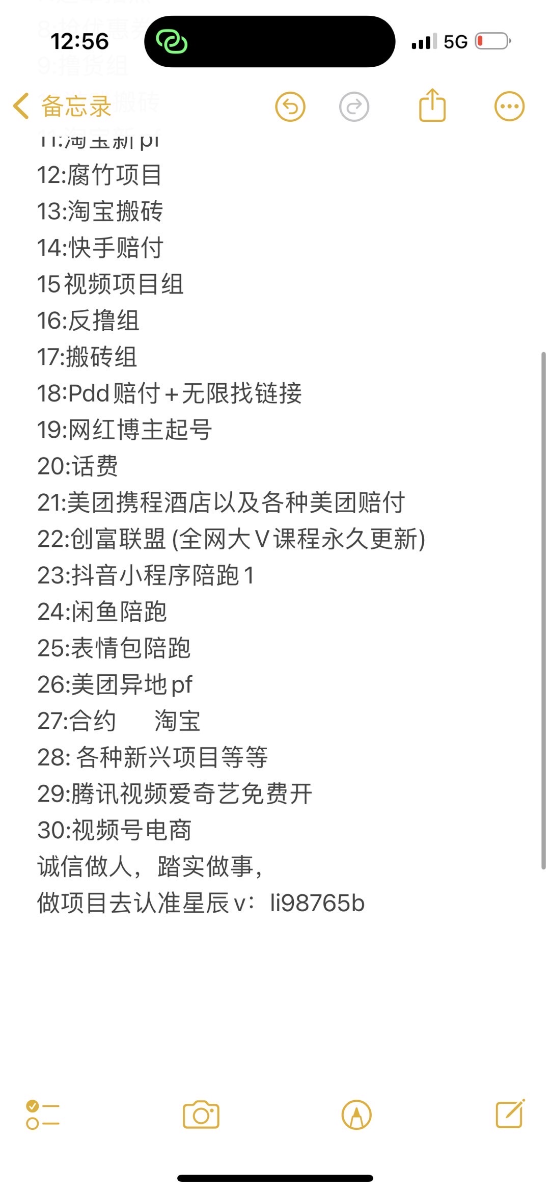 本人有几十种不错的项目 我们团队会每天各种不同的新项目  带你日赚千元 跟着我