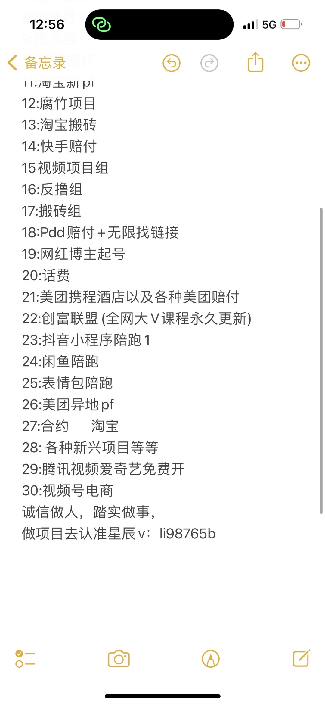 本人有几十种不错的项目 我们团队会每天各种不同的新项目  带你日赚千元 跟着我