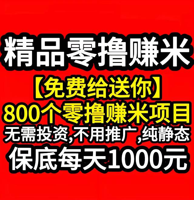 精选800个零橹賺钱项目,保低每天1000亓,免费